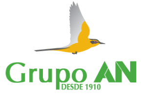 GrupoAN_100years